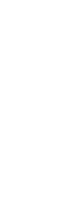 自然薯のこと