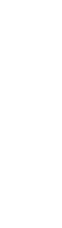 自然薯の栄養