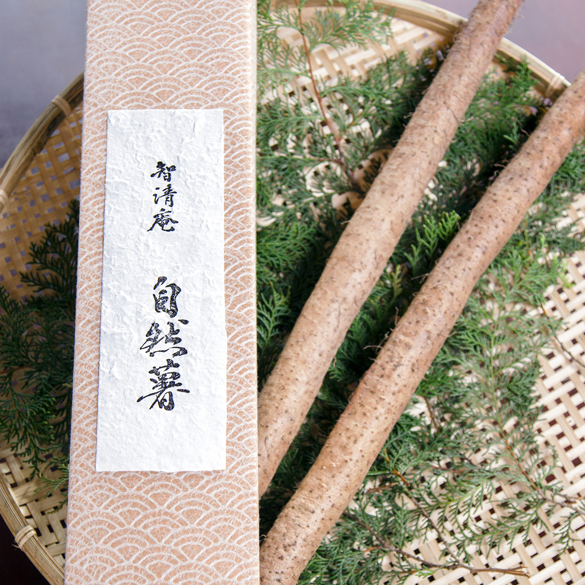 一本もの自然薯贈答用500g