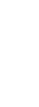 自然薯の葉